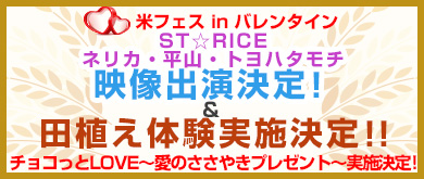 ST☆RICE　ネリカ・平山・トヨハタモチ　映像出演決定！&田植え体験実施決定！！